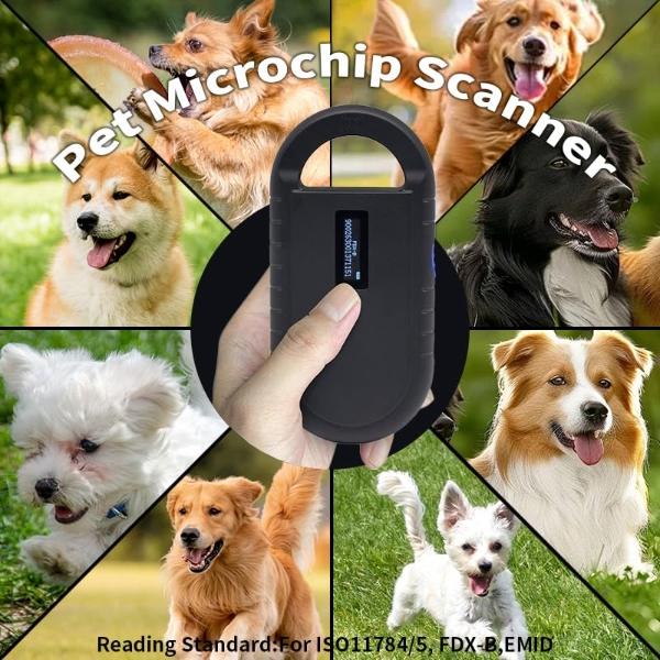 Camas Bedsure para perros grandes: cama ortopédica impermeable extragrande para cachorros con funda extraíble y lavable, tapete de espuma tipo caja de huevos, apto para mascotas de