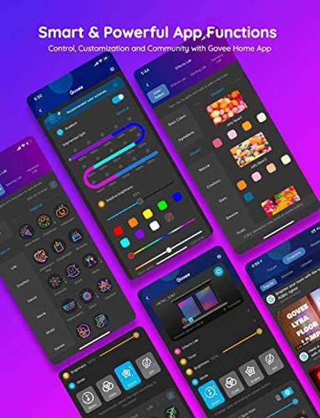 Tira de luces LED Govee RGBIC Pro, tiras LED inteligentes de 10 m que cambian de color, compatibles con Alexa y Google, segmentadas, sincronización de música, control por wifi y ap