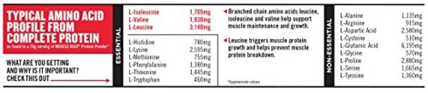 Proteína en polvo Muscle Milk, sabor crema de plátano, 32 g de proteína, 2,2 kg, 32 porciones