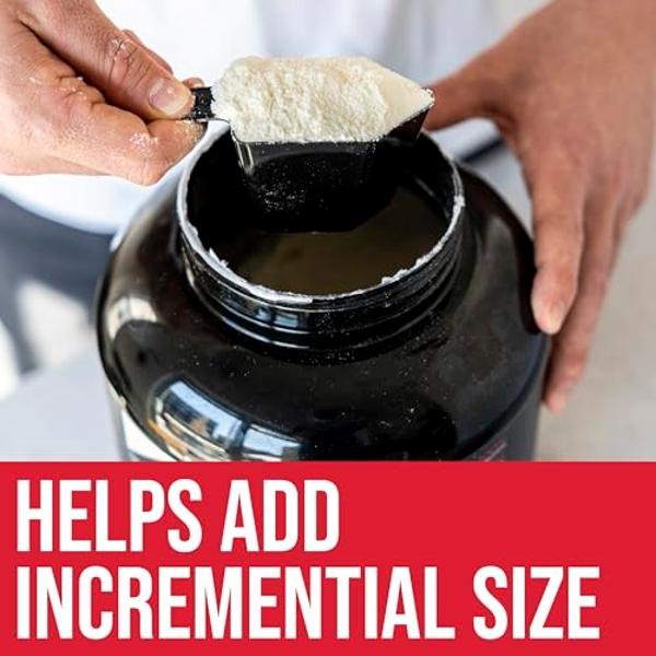 NAKED Vegan Mass - Ganador de peso vegano de vainilla - 1230 calorías, sin OMG, sin soja ni gluten, sin ingredientes artificiales - 5,5 kg a granel - 17 porciones