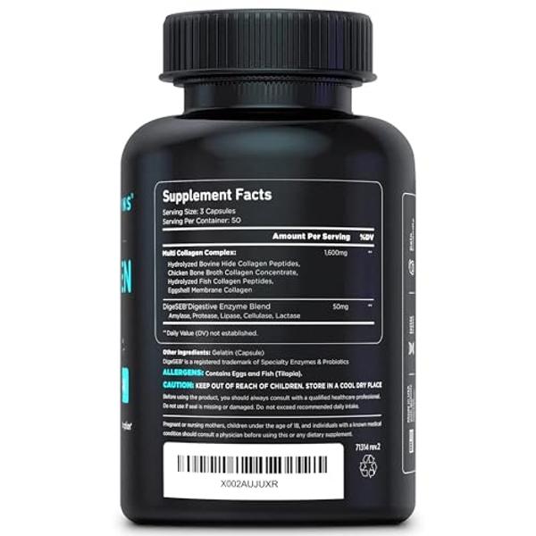 VMI Sports | Ganador de masa muscular Major Mass | Proteína en polvo para ganar masa muscular | Proteína en polvo para ganar peso para hombres | Ganador de peso para mujeres (Canel