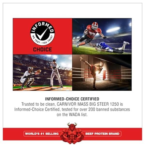 Piana Real Carbs + Protein, 5 % de nutrición | Proteína en polvo para ganar masa muscular | Carbohidratos para la recuperación pre-entrenamiento/post-entrenamiento | 1,3 kg, 20 sob