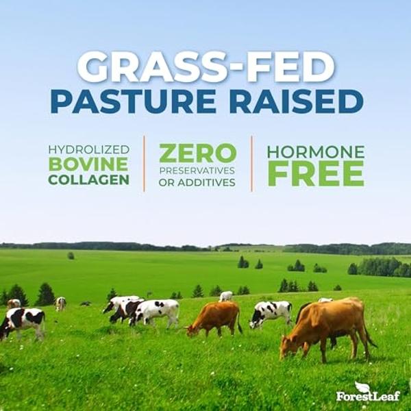 Pastillas multicolágeno ForestLeaf - Colágeno para hombres y mujeres - Suplementos de colágeno hidrolizado con vitamina C y ácido hialurónico - Cápsulas de colágeno para cabello, p