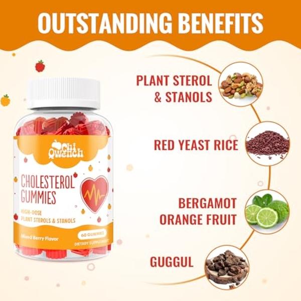 Suplemento de calostro en polvo WONDERCOW para la salud intestinal, el apoyo inmunitario, la recuperación muscular y el bienestar | Calostro bovino entero puro con IgG natural, sup