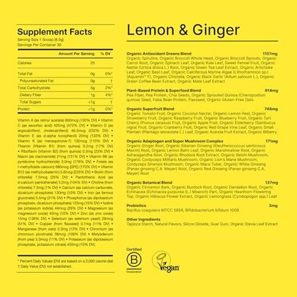 Pureboost Immune Clean Energy Booster, bebida energética refrescante y suplemento inmunitario con saúco, 1200 mg de vitamina C, vitaminas A y D y zinc. (Mandarina Twist, 30 unidade