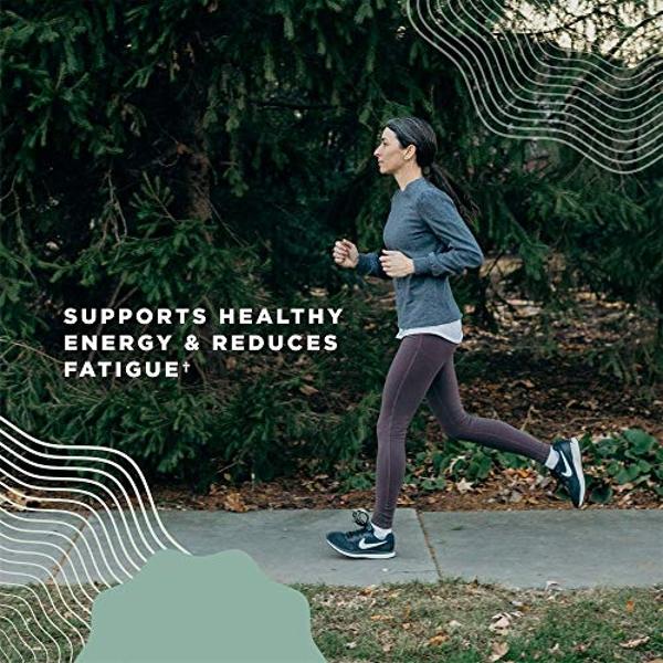 Hormonas para mujeres de Ancient Nutrition: ayuda a reducir el estrés, favorece la energía y el equilibrio hormonal, sin gluten, compatible con dietas paleo y keto, 60 cápsulas