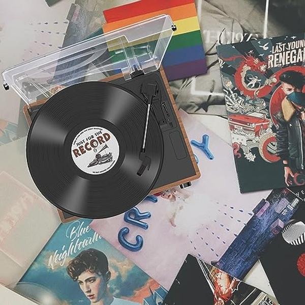 Abrazadera para tocadiscos de perfil bajo Record Doctor, cromada en negro