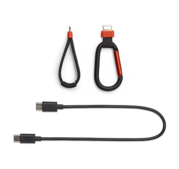 Bang & Olufsen Beosound Explore - Altavoz Bluetooth portátil inalámbrico para exteriores, IP67 a prueba de agua y polvo, color castaño