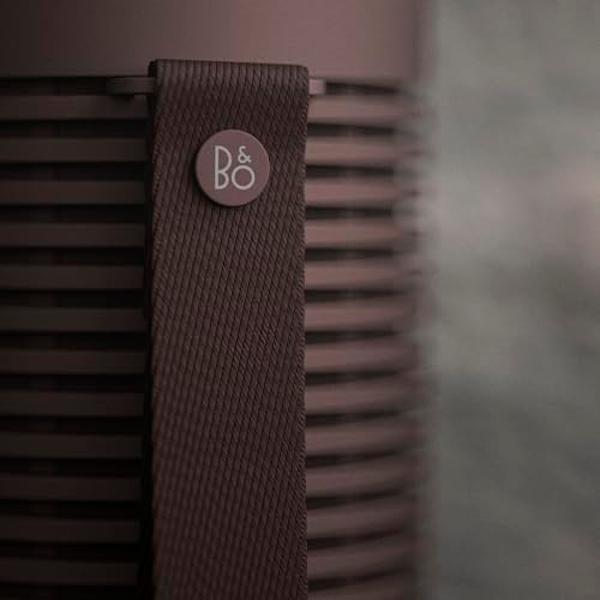 Bang & Olufsen Beosound Explore - Altavoz Bluetooth portátil inalámbrico para exteriores, IP67 a prueba de agua y polvo, color castaño