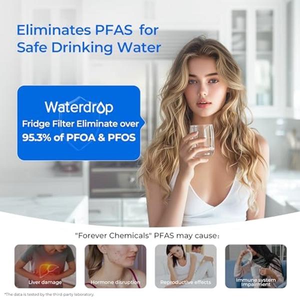 Repuesto Waterdrop EDR1RXD1 para filtro Everydrop® 1, ​​Whirlpool® W10295370A, EDR1RXD1B, P8RFWB2L, P4RFWB, WD-F38, Kenmore® 46-9081, 46-9930, paquete de 3