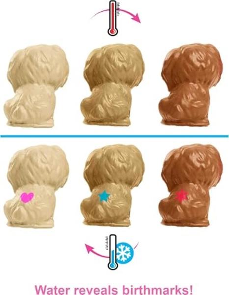 Set de inicio de Doctor de la Villa Calico Critters, juego de casa de muñecas con figura y accesorios