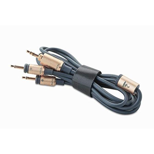 Auriculares cerrados de alta fidelidad Focal Celestee