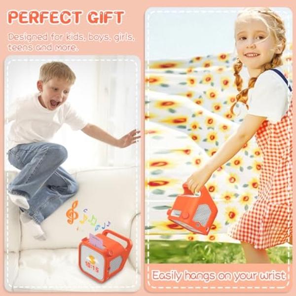 Altavoz portátil ION Audio Pathfinder Go - Negro (Renovado)